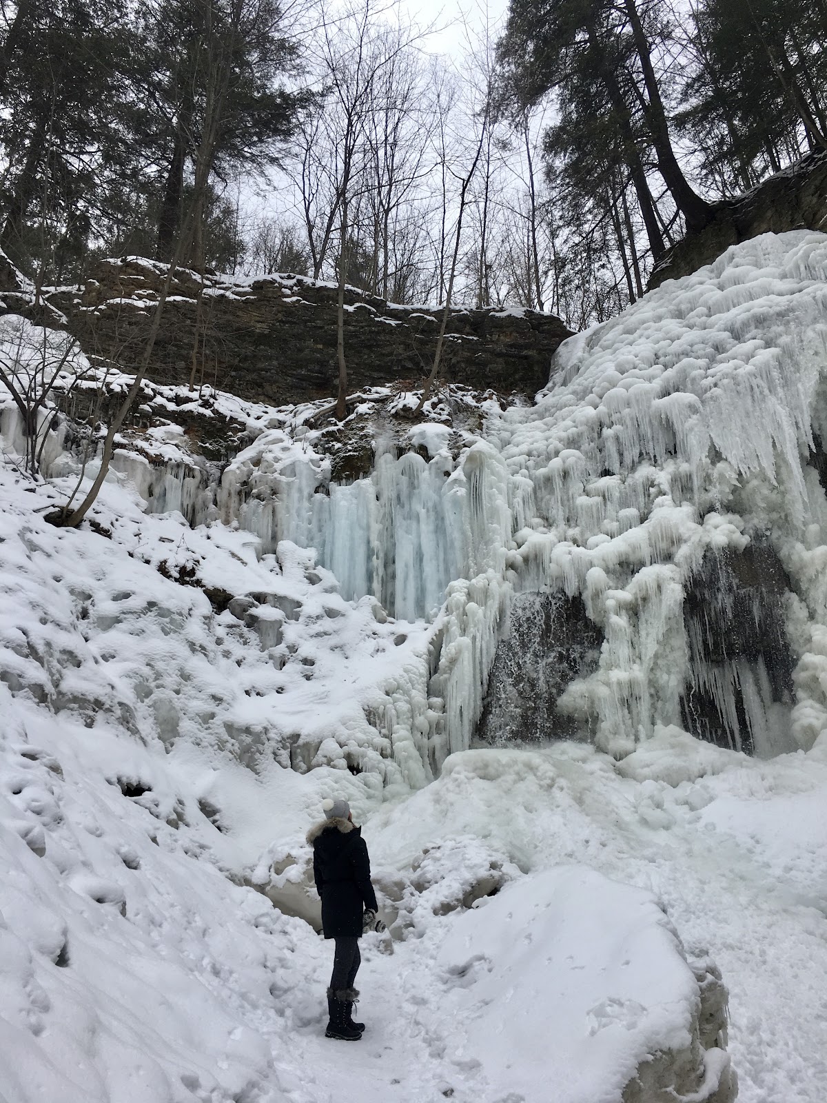 tiffany falls