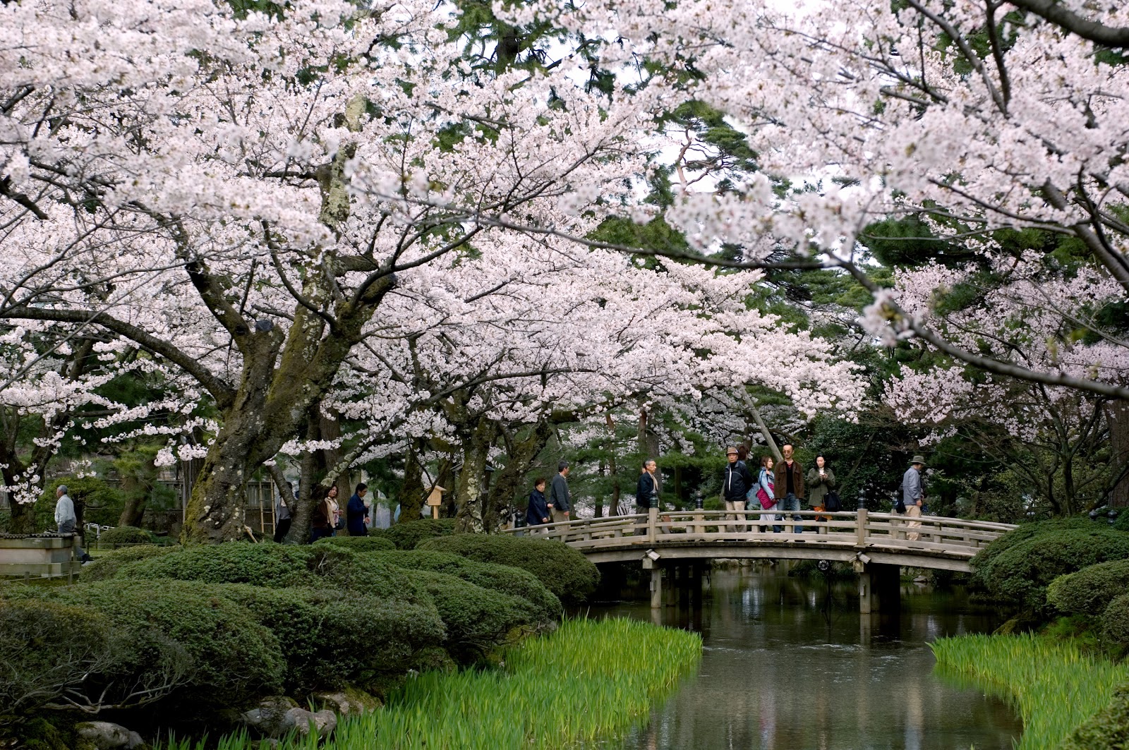 兼六園.jpg