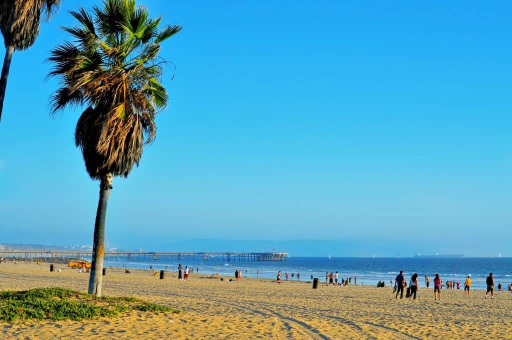 Venice Beach in LA- 2 Days in Los Angeles