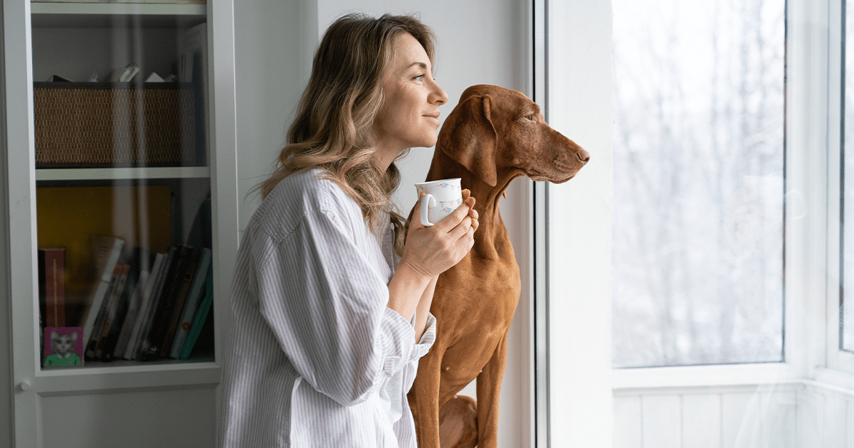 dog looking out of window with owner