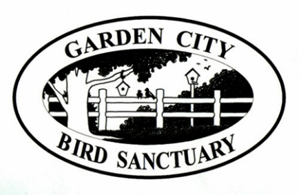 Volunteering Garden City Bird Sanctuary