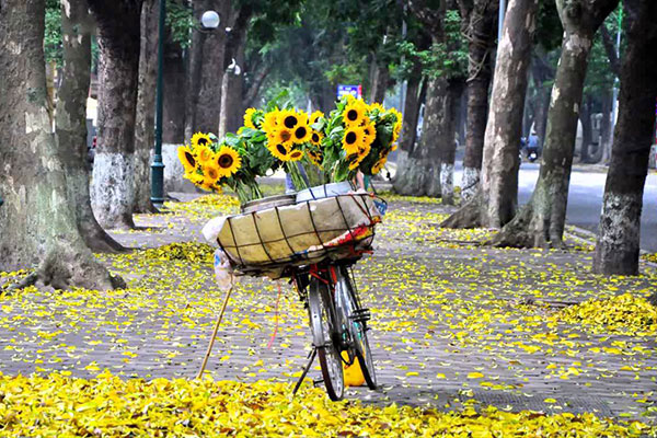 Mùa thu là thời điểm lý tưởng để ghé thăm Hà Nội (Nguồn: Internet)