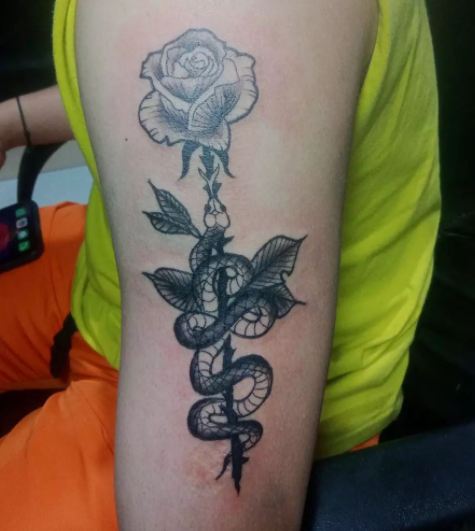 Black Snake With Rose Flower On Shoulder