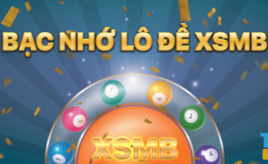 Lưu ý khi sử dụng bạc nhớ miền bắc