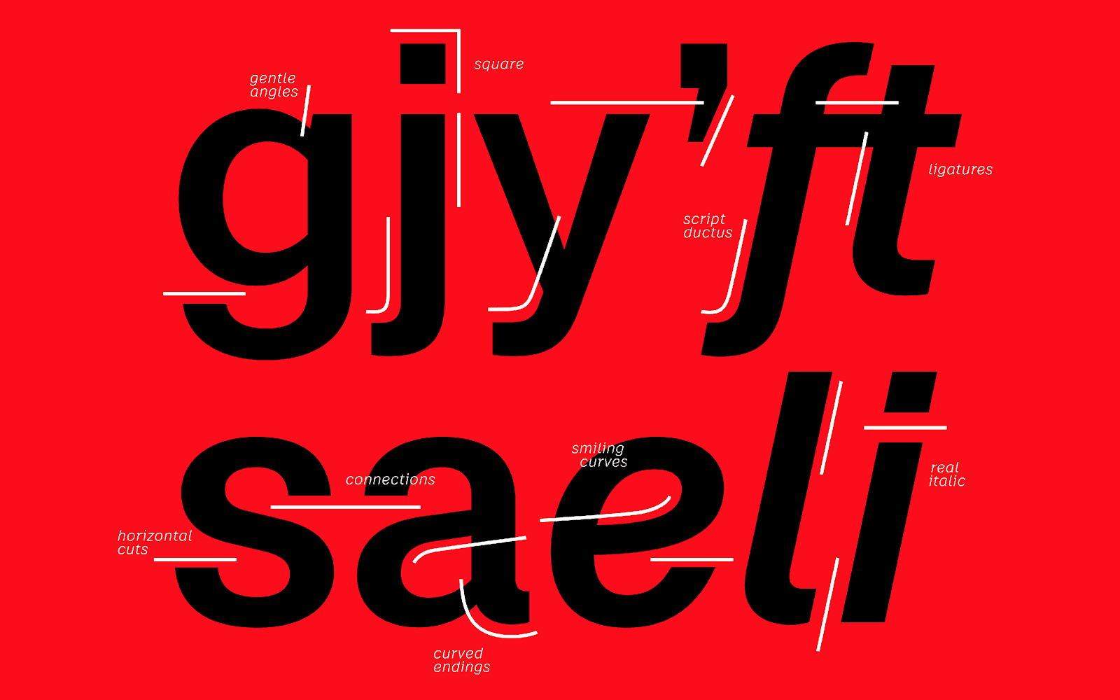 Font design and typography specimenCase_Font_Story9_Details_4320x2700.png