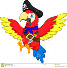 Image result for a pirate bird