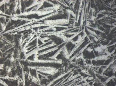60017,113 JSC02398