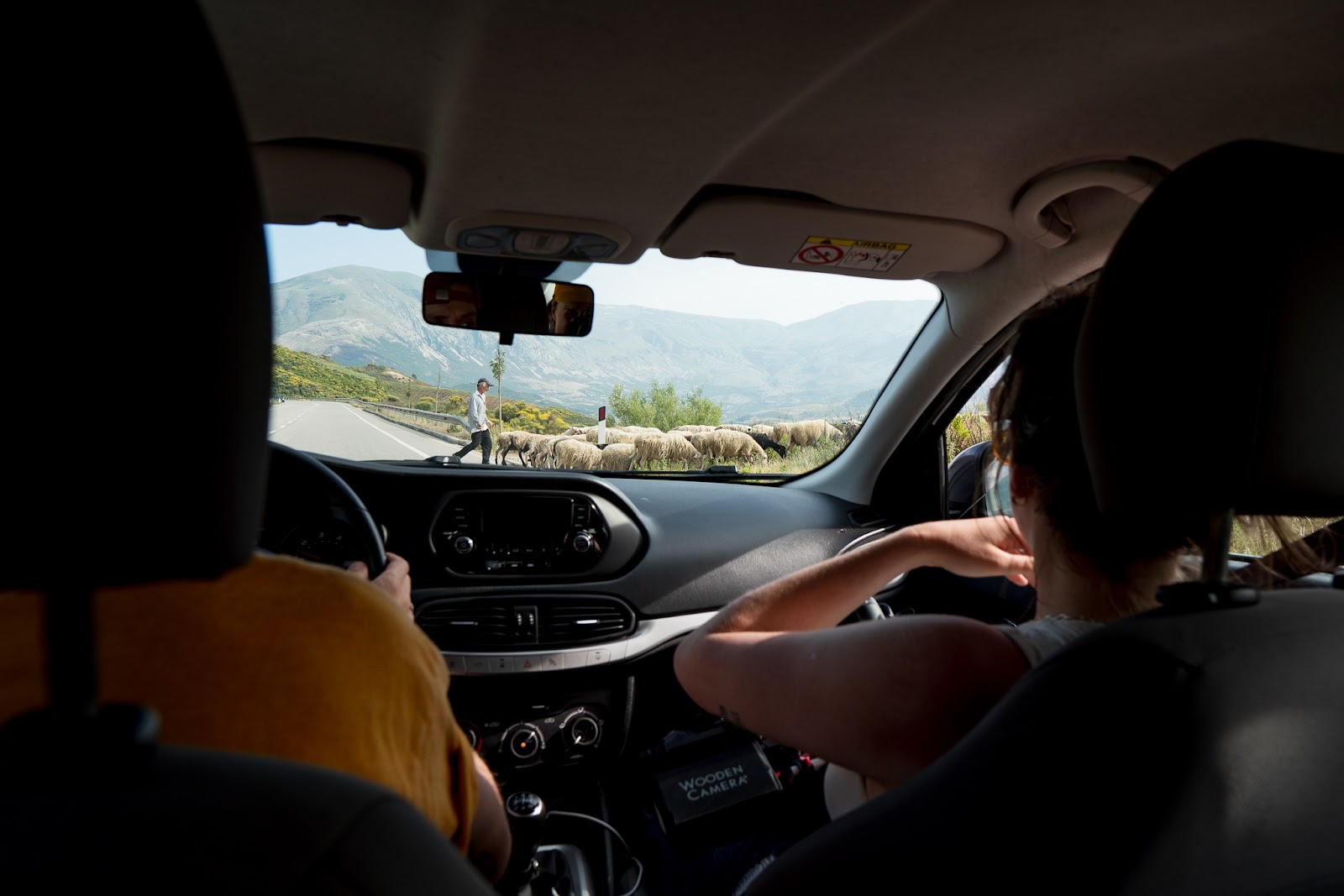 The roads in Albania are adventurous to drive in many ways, and shepherds crossing with their flocks is one of the things to watch out for. Photo: Hannah Bailey