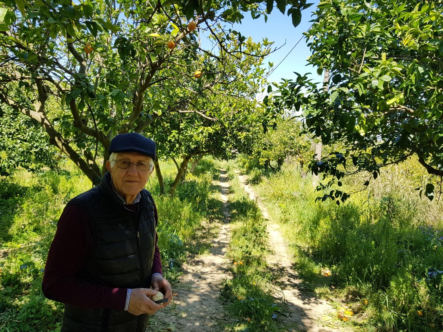 F:\AZIENDA AGRICOLA\20190330_121545.jpg