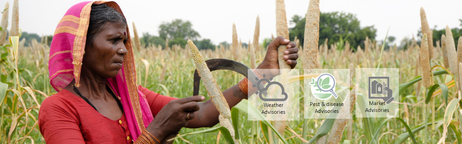 crop and farm management : crop tracker