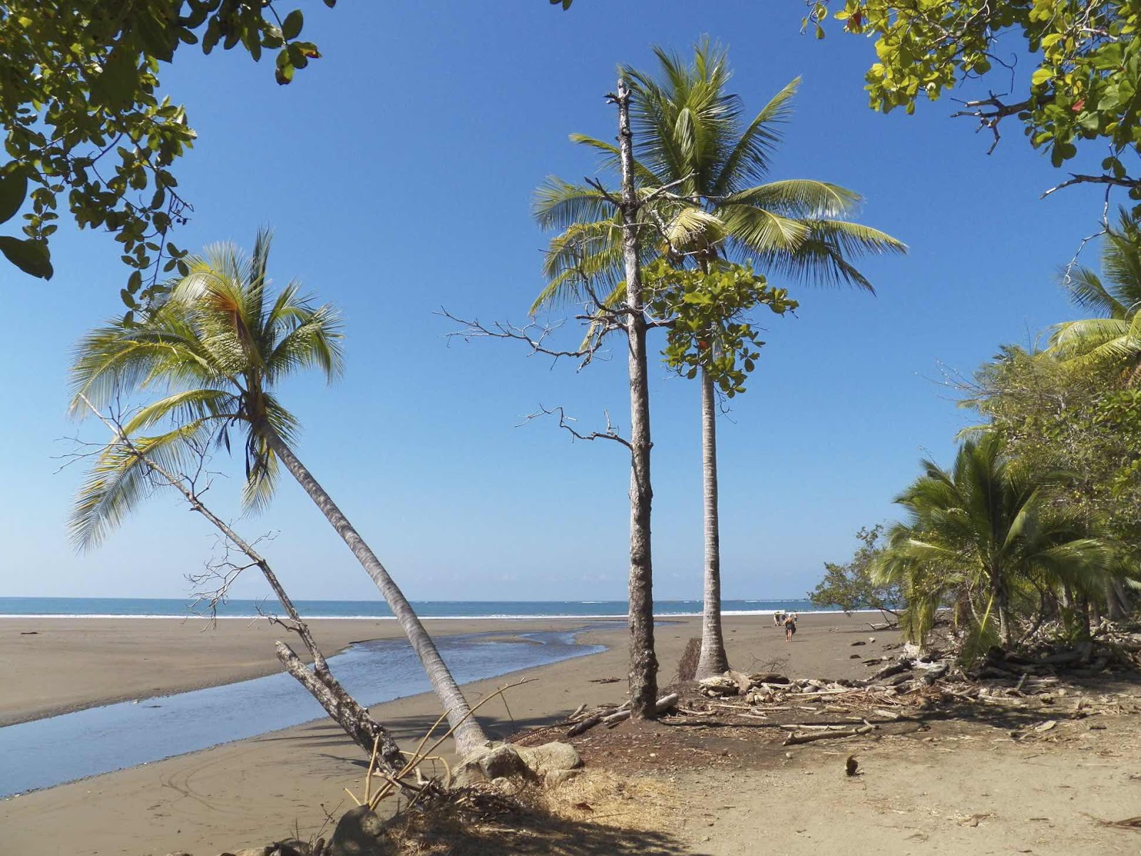 Marina Ballena, Costa Rica