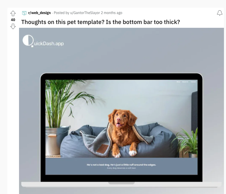 Screenshot of a post in Reddit r/web_design.