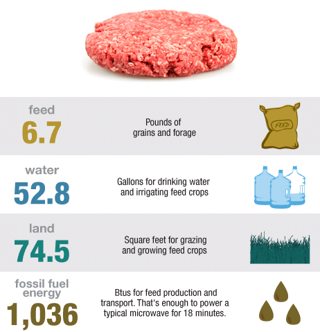 How much does a hamburger cost in resources? Food waste