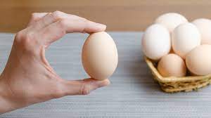 ประโยชน์ของไข่ที่ดีต่อการลดน้ำหนัก สาระน่ารู้ของคนอยากมีหุ่นสวย  1