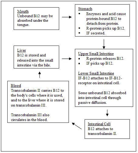 B12 Analogues