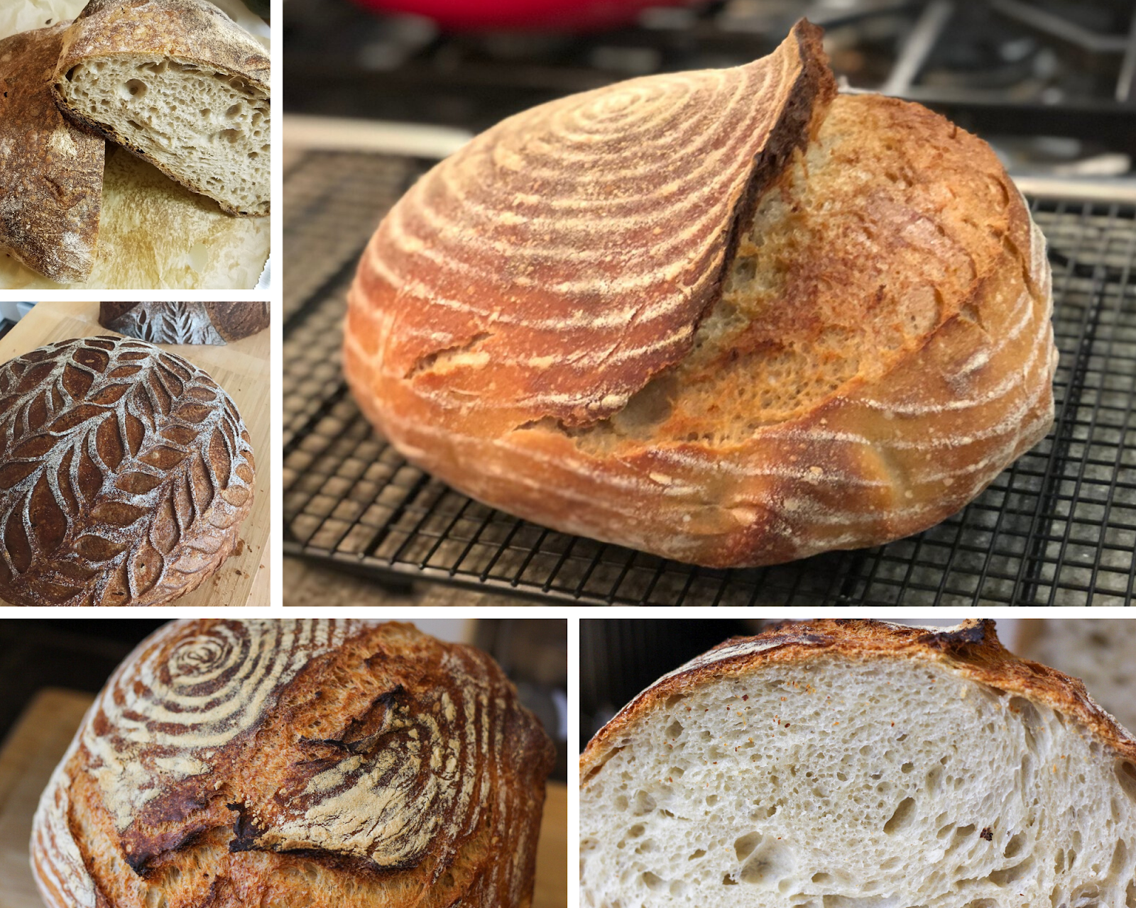Five photos of loaves of sourdough bread.