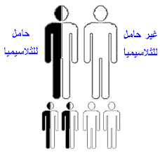 صورة توضيحية لزواج حامل الثلاسيميا من غير الحامل للمرض