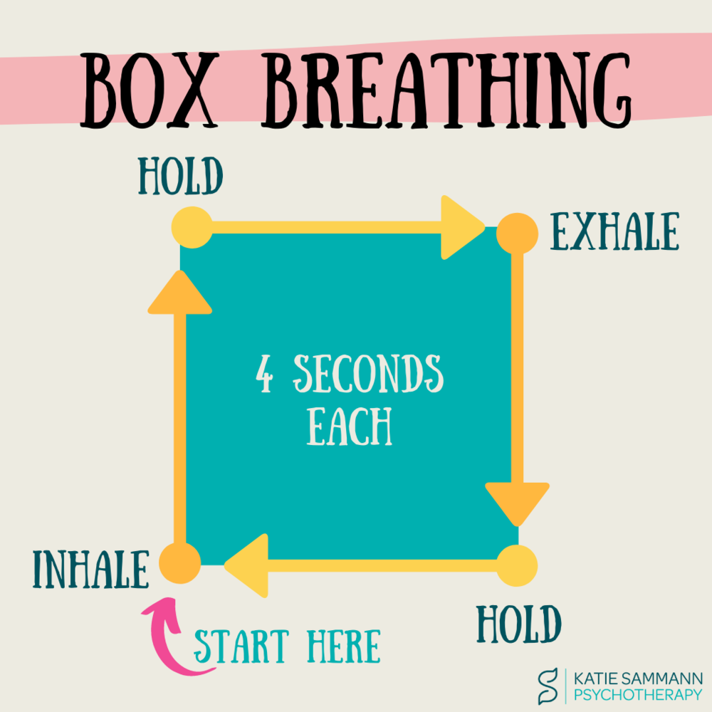 Reduce Anxiety with Box Breathing | Katie Sammann Psychotherapy
