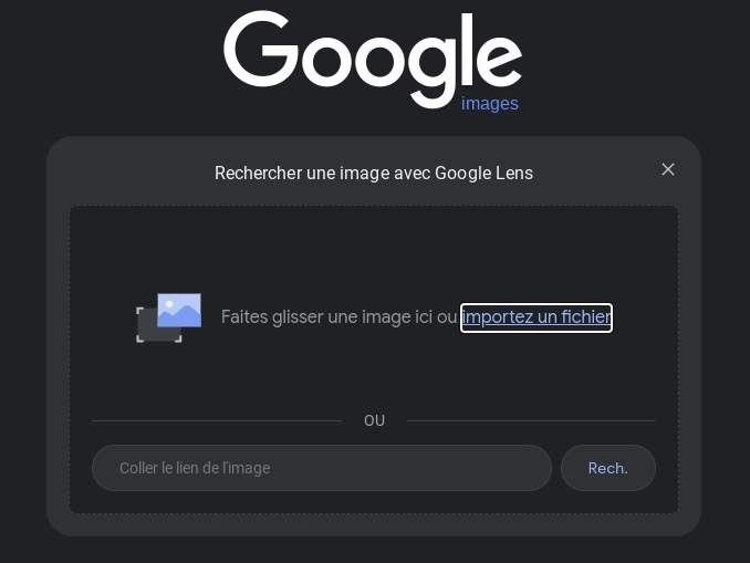 Google Images utilise Google Lens sur le web