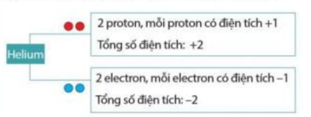 Câu hỏi trang 12 SGK TN&XH 7 CD tập 1