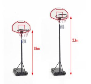 Chiều cao rổ bóng rổ cao bao nhiêu dựa vào điều gì?