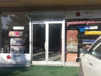 Yolluk Dünyası