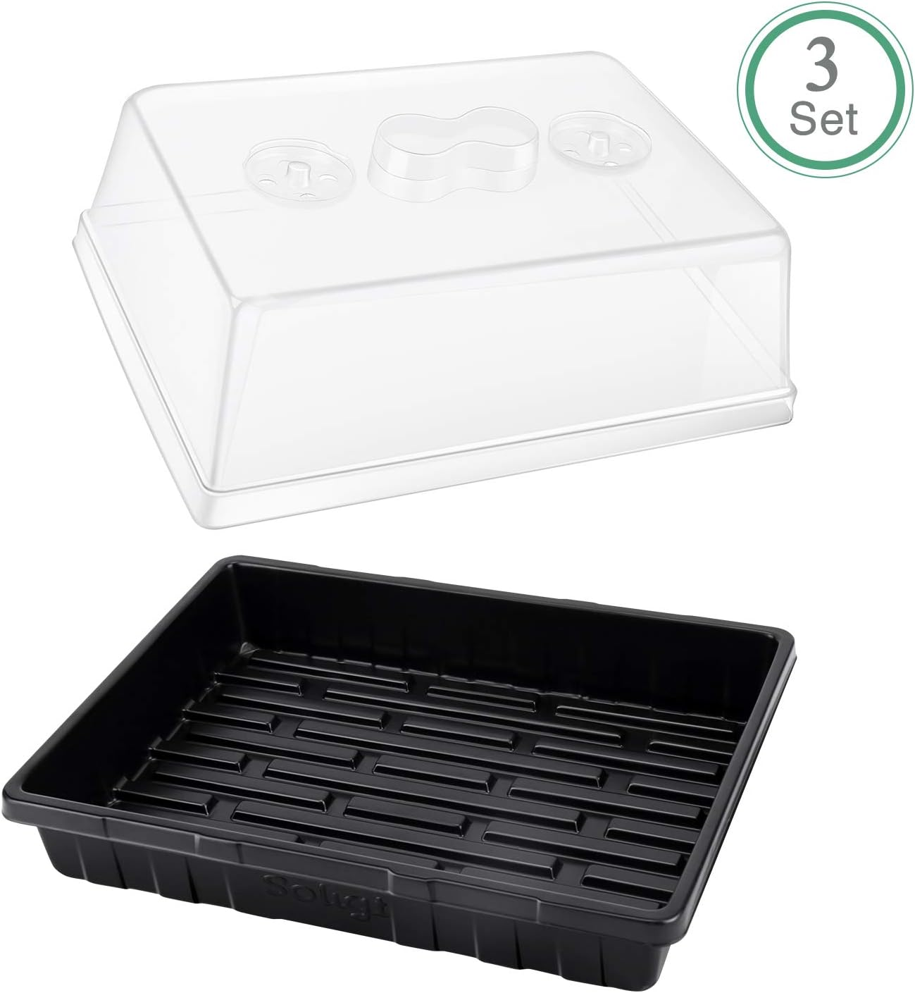 Food Container and Lid