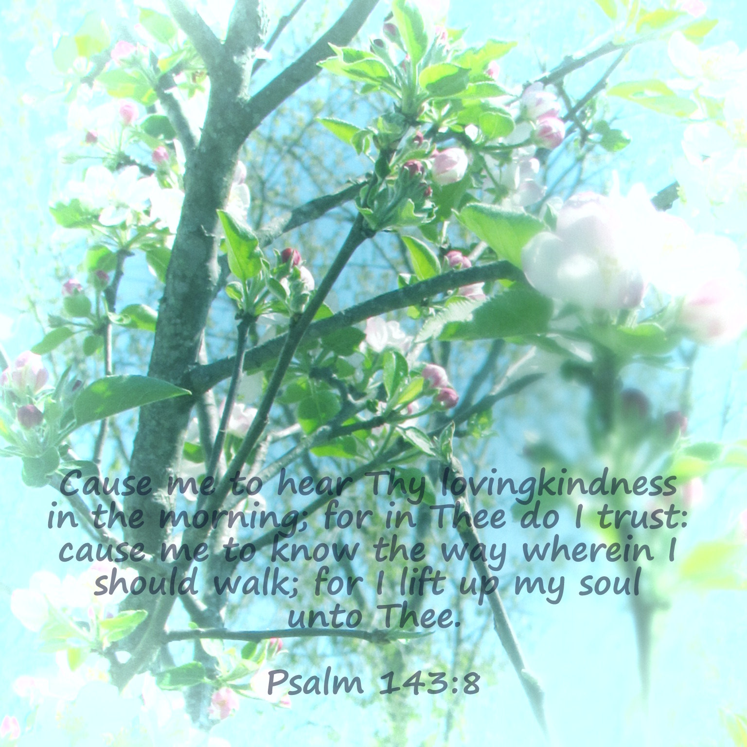 4-3-17 Psalm 143 8.JPG