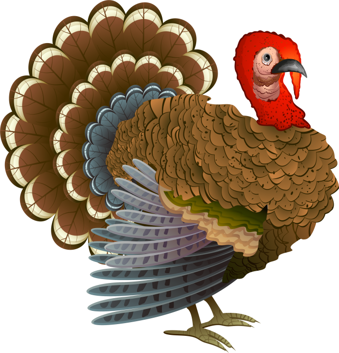 https://www.clipartmax.com/png/full/227-2275373_turkey-clipart-png-transparent-cafepress-turkey-call-square-sticker-3-x-3.png