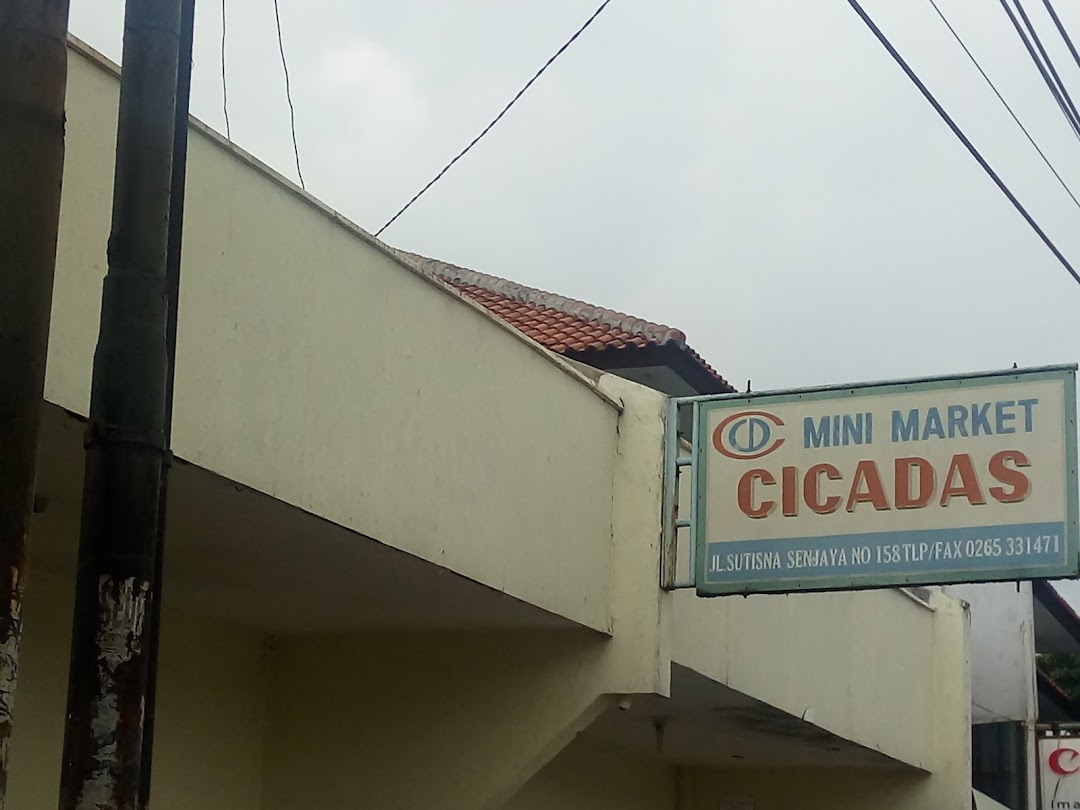 Mini Market Cicadas
