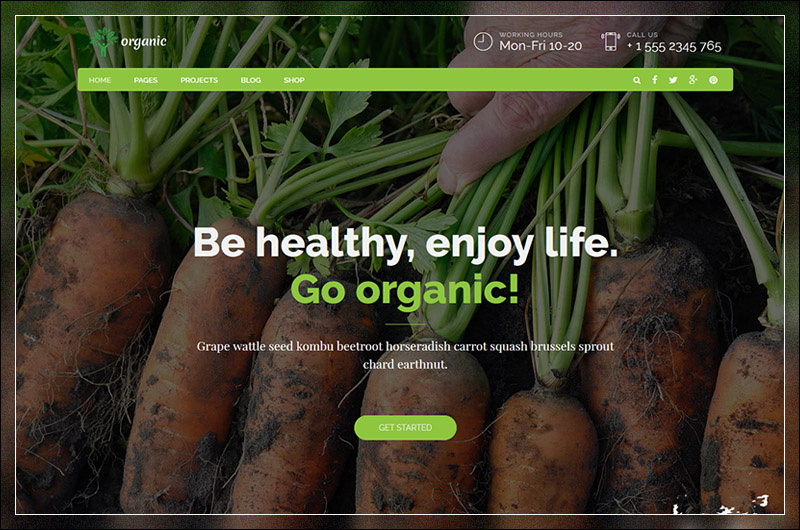 Alimentos orgánicos: tema de WordPress para nutricionistas y alimentos