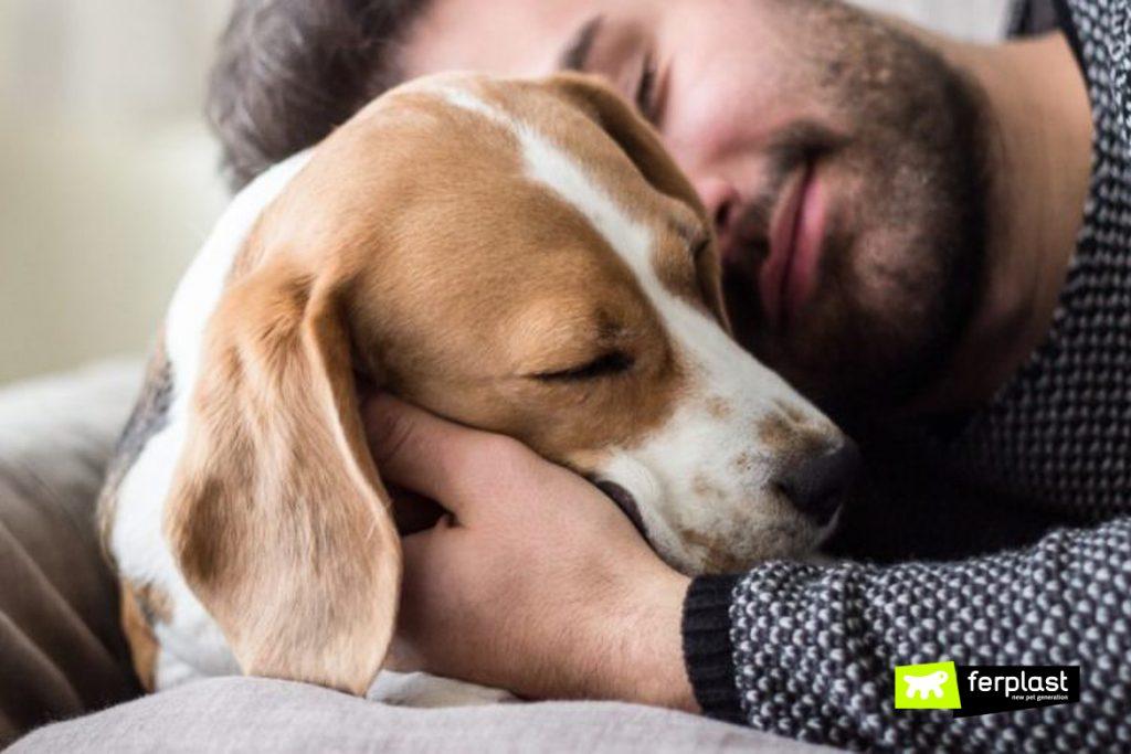 Is The Relationship Between Dogs and their Owners Similar To That Between  Parents And Children?