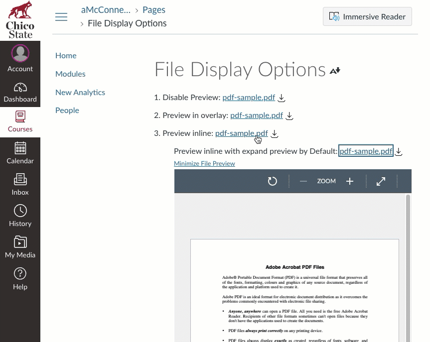 canvas inline file preview