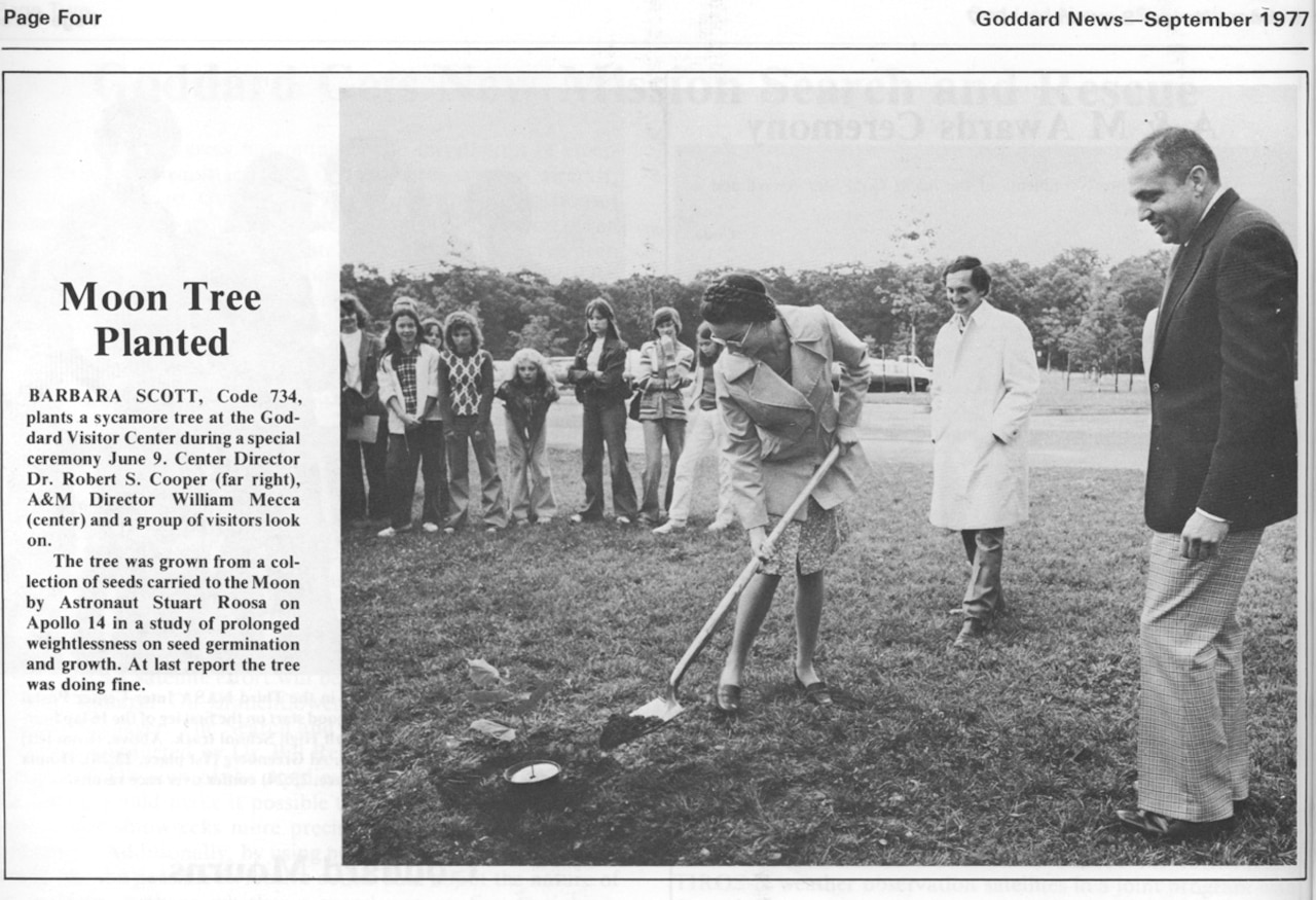 a woman digging a hole in the ground