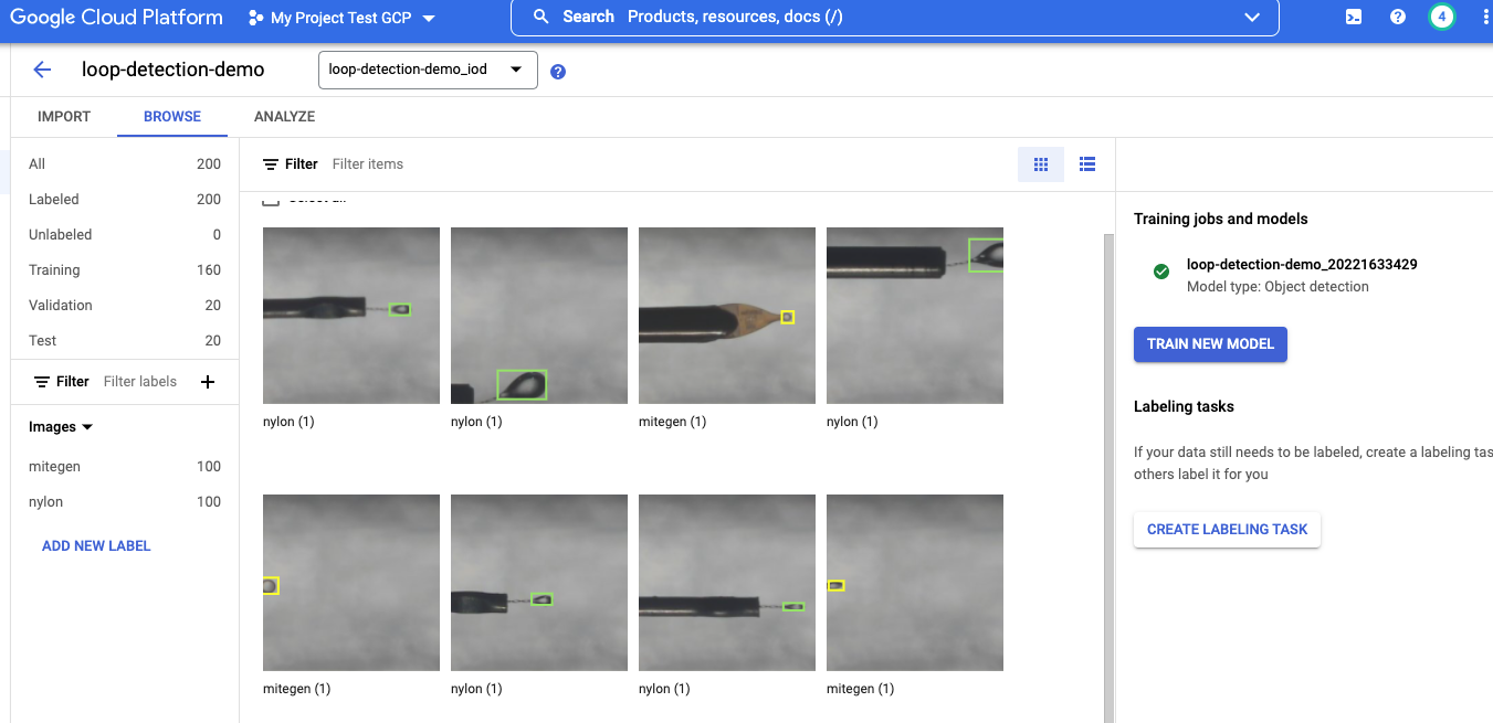 Screenshot from Google Cloud Platform  - Uploading images