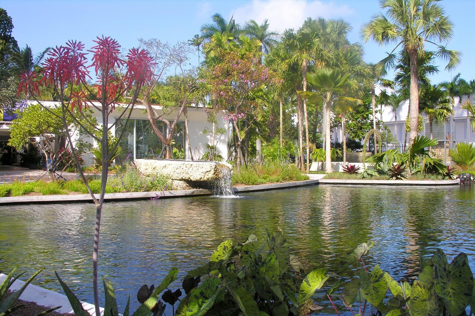 Miami Beach Botanical Garden - Discover a Vibrant Urban Green Space – Go  Guides