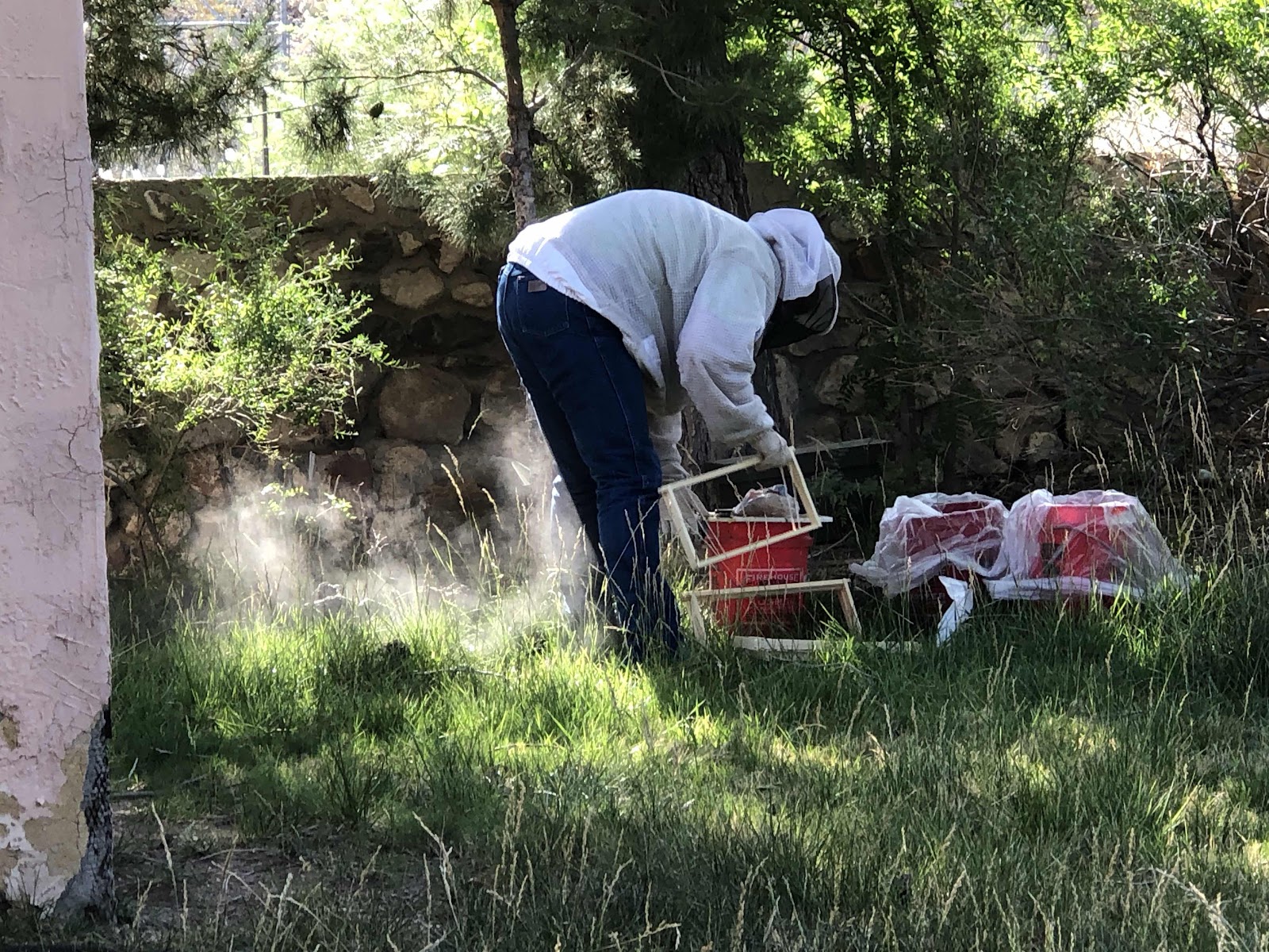 smoking the bees