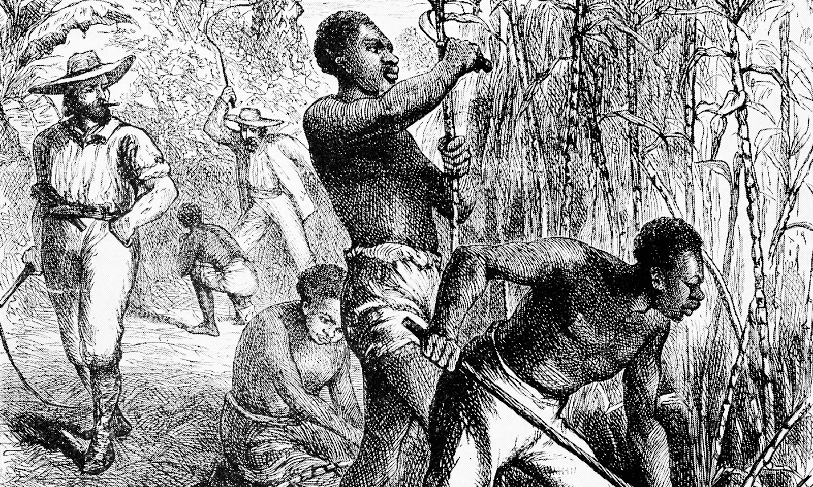 Appropriate Ways to Teach Kids About Slavery | Teaching Tolerance
