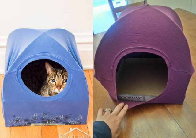 casinha para gatos com papelão
