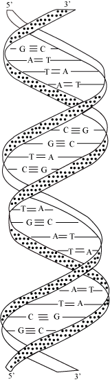 http://www.meritnation.com/img/lp/1/12/5/273/961/2072/2032/16-6-09_LP_Utpal_Chem_1.12.5.14.1.4_SJT_LVN_html_m20fb5355.png