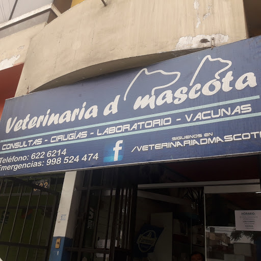 Veterinaria D Mascota - clínica veterinaria