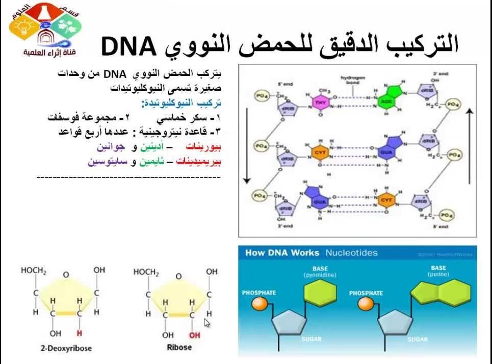 D:\قولدر البرامج 1\ama\ptjtmp\maxresdefault   20.jpg