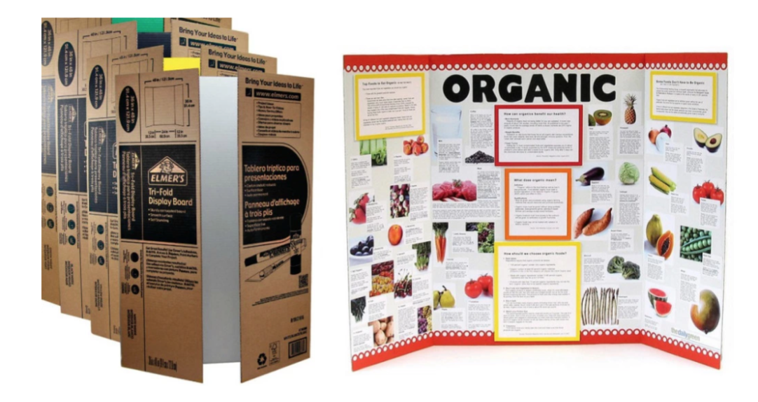 Tri-fold displays - Organic
