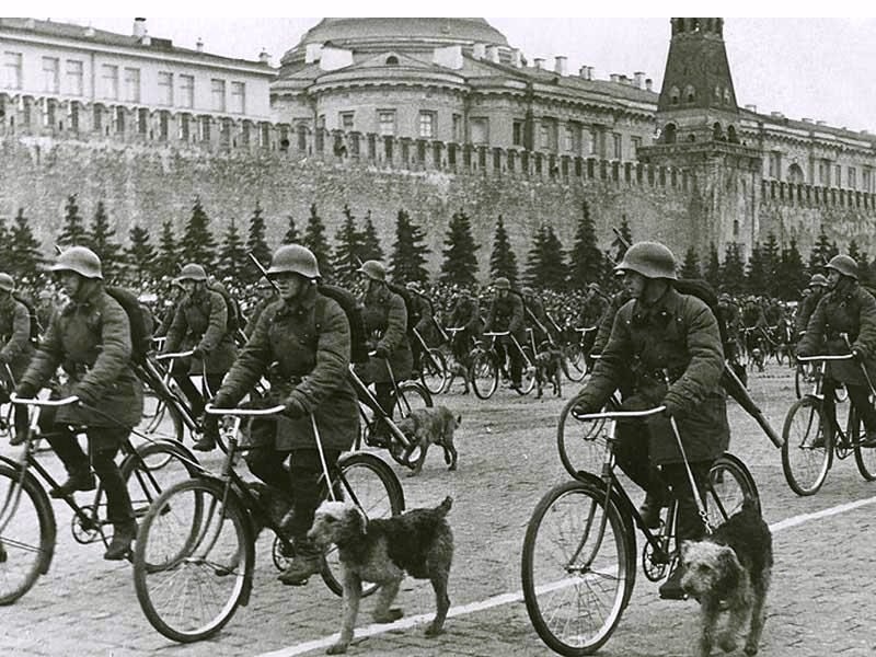 How anti-tank dogs helped advance Soviet forces