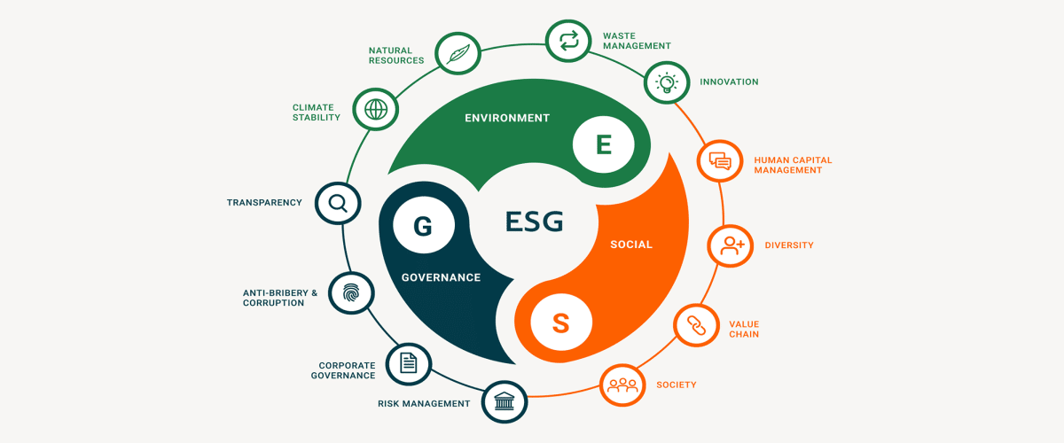 What is ESG strategy