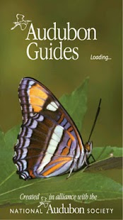 Audubon Butterflies apk Review
