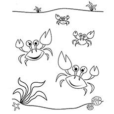 Top 10 Free Printable Crab Coloring Pages Online