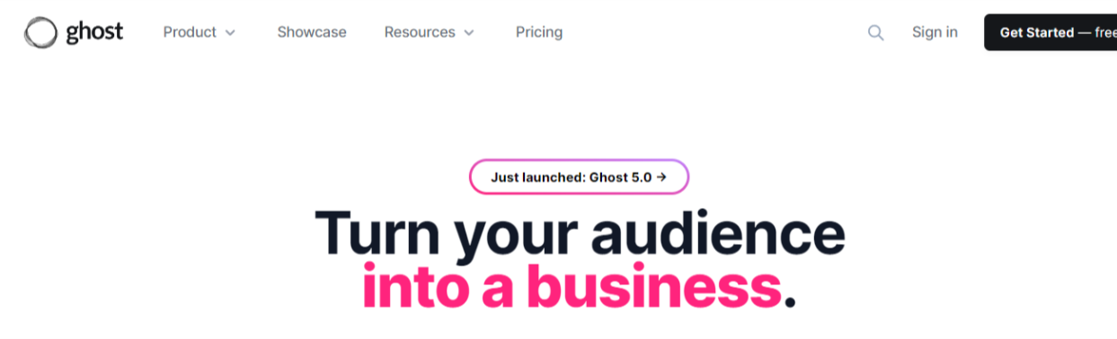 wordpress option