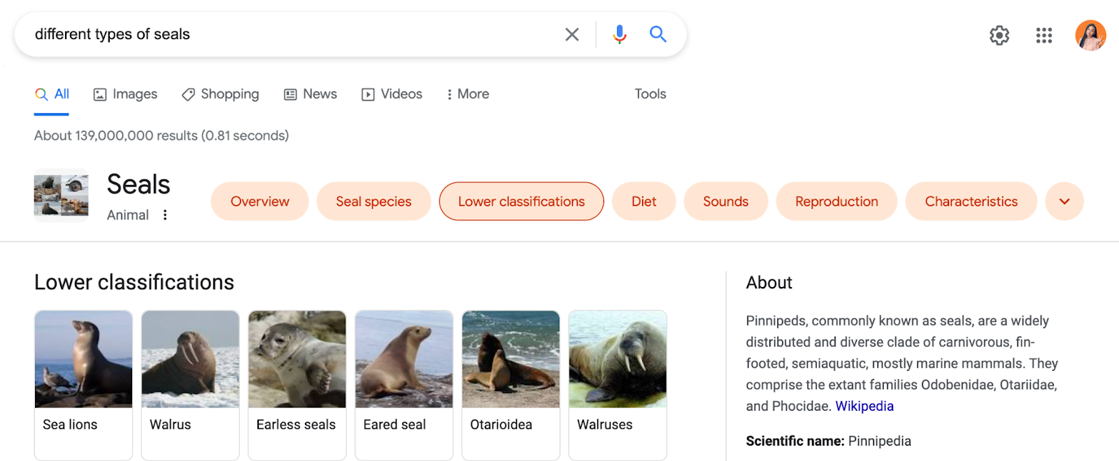 用于关键字研究的 SERP 功能：图像包
