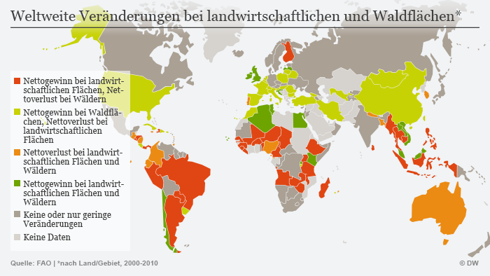 Wer holzt den tropischen Regenwald ab?
